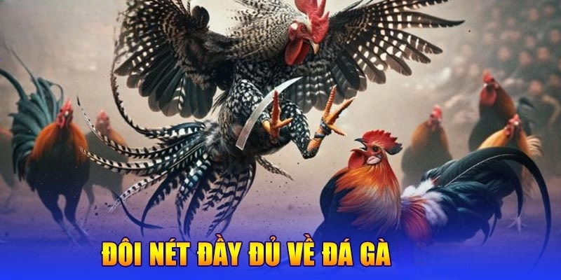 Đá Gà 999BET – Hình Thức Giải Trí Trực Tuyến Phổ Biến